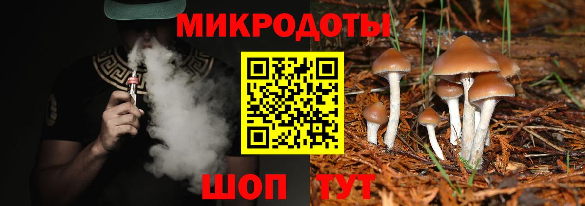 Галлюциногенные грибы Psilocybe  Галлюциногенные грибы мицелий  Тельмана  Вход с VPN 